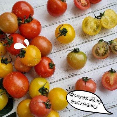 스테비아 칵테일 토마토 단토마토
